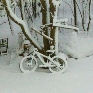 Meet your Posher, Elaine